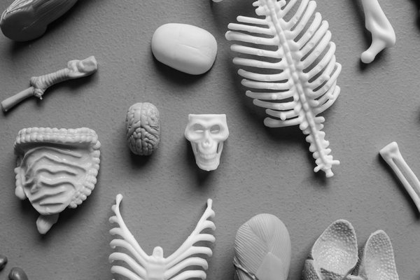 Como o sedentarismo impacta a recuperação após cirurgias?